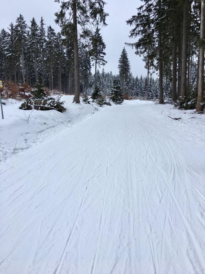 Fewo Harzromantik Braunlage Exterior foto